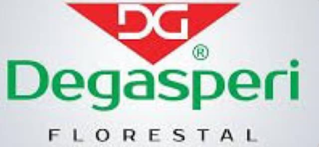 Degasperi Florestal Degasperi Florestal